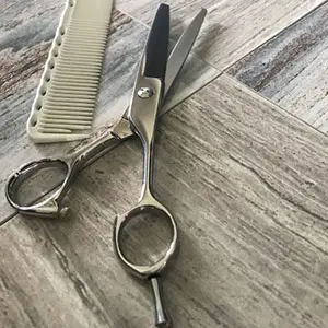 導入サロン画像